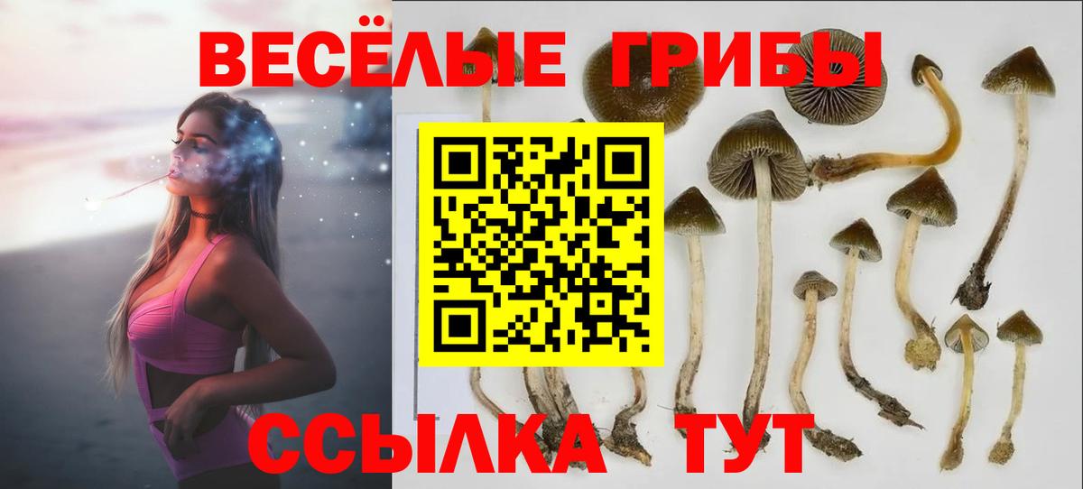 Нарткала  Галлюциногенные грибы ЛСД  Вход с VPN 